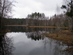 P4230115.JPG
