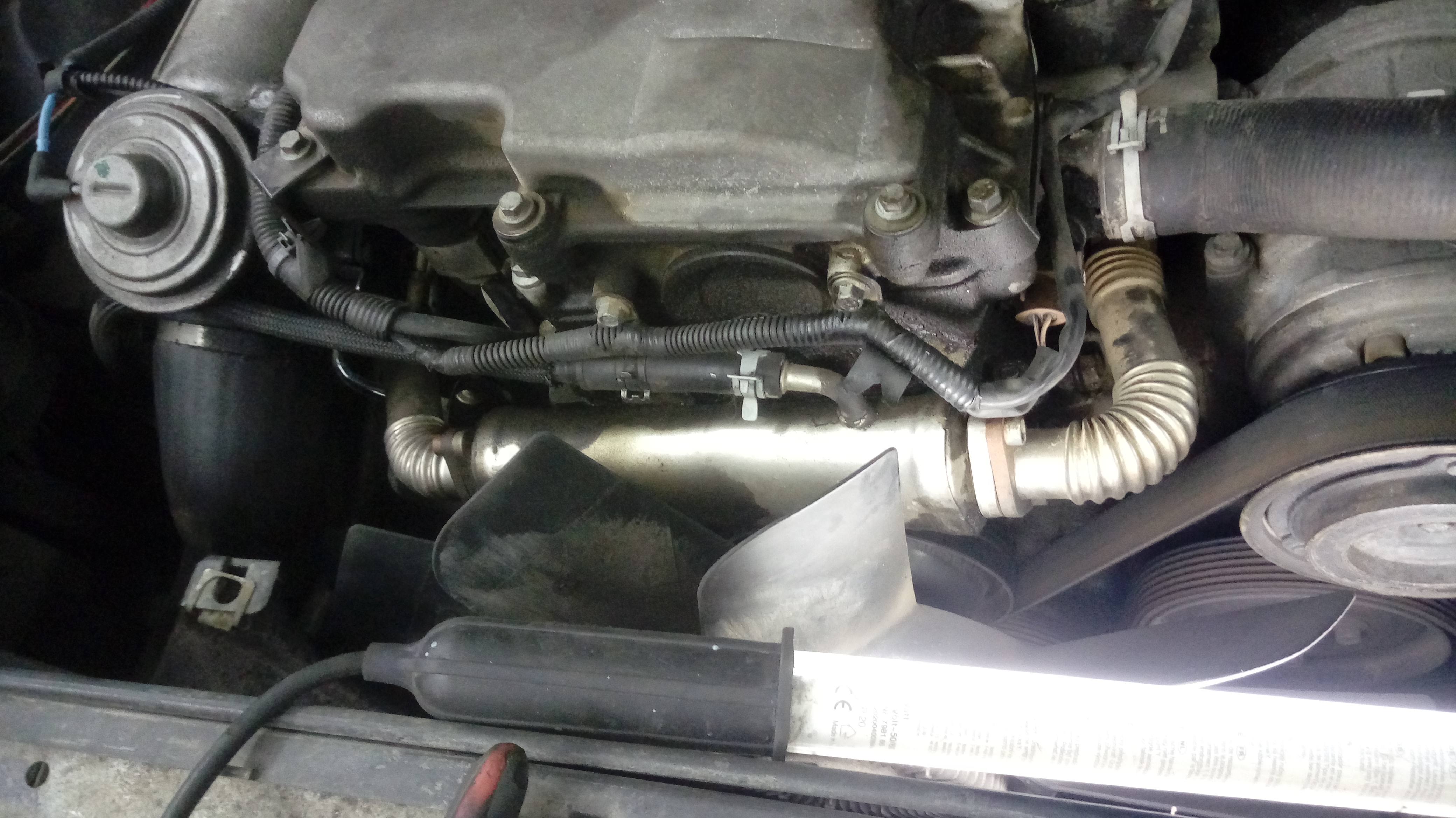 [Linked Image von garys-shoes.de]