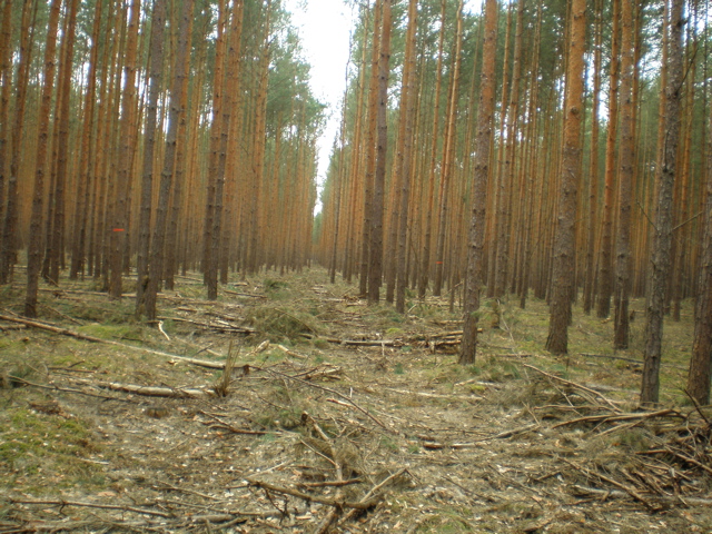 P4040009.JPG
