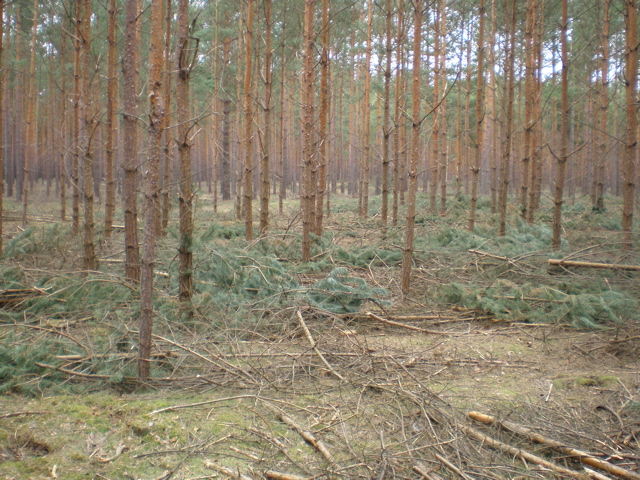 P4040023.JPG
