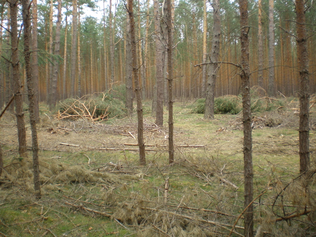 P4040024.JPG