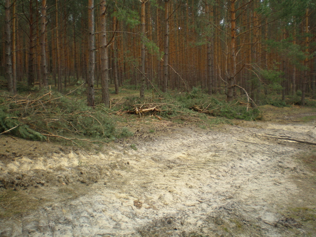 P4040025.JPG