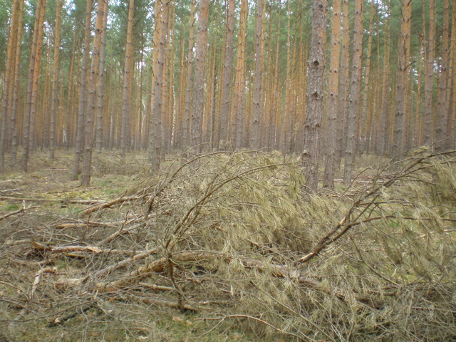 P4040011.JPG