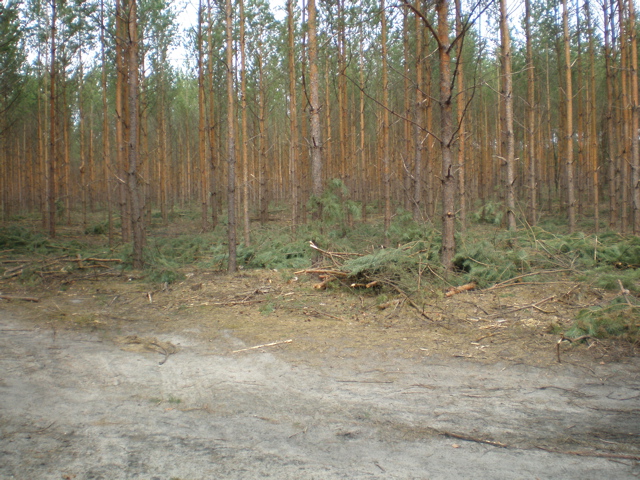 P4040014.JPG