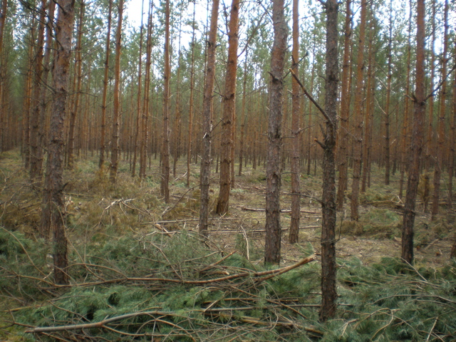 P4040015.JPG