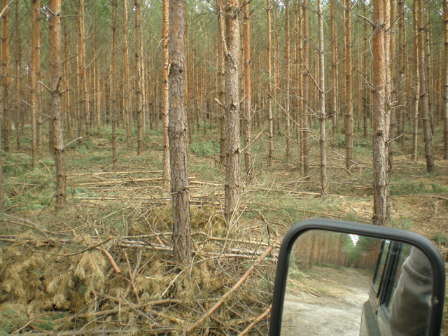 P4040016.JPG