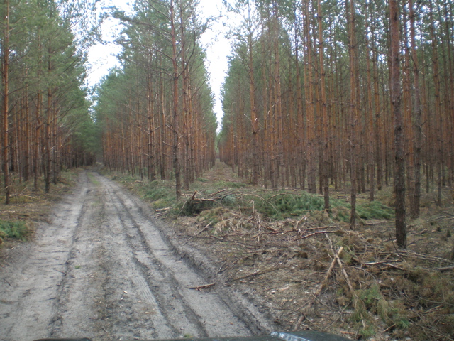 P4040017.JPG
