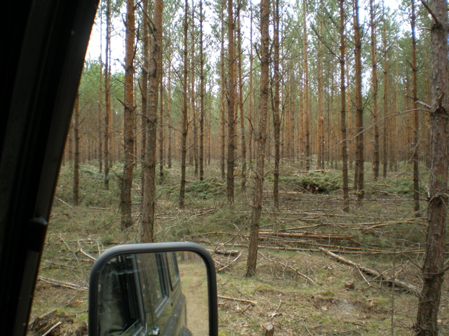 P4040019.JPG