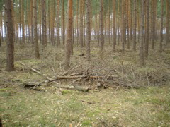 P4040010.JPG