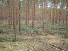 P4040023.JPG