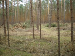 P4040024.JPG