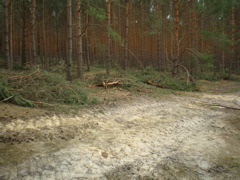 P4040025.JPG