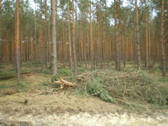 P4040026.JPG