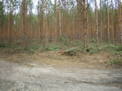 P4040014.JPG