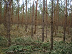 P4040015.JPG