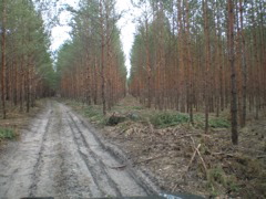 P4040017.JPG